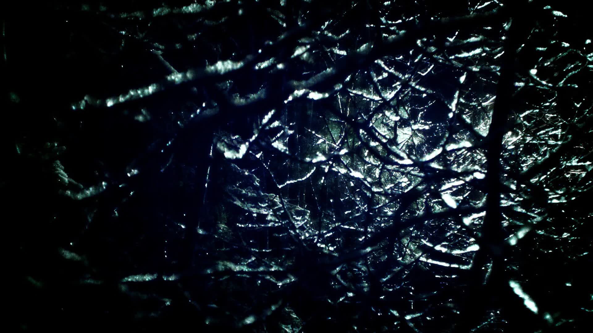世界体能挑战赛:专项体测成为选拔标准,体能世界纪录